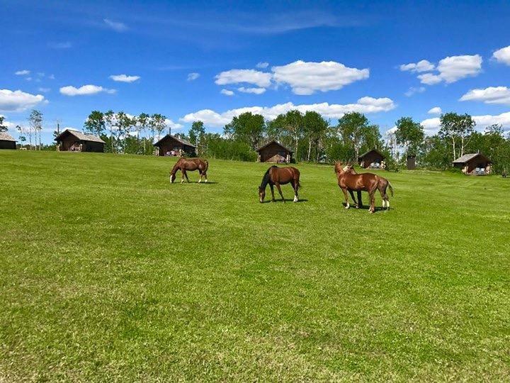 Flying U Ranch Seventy Mile House Ngoại thất bức ảnh